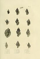 Selection: Latest images added